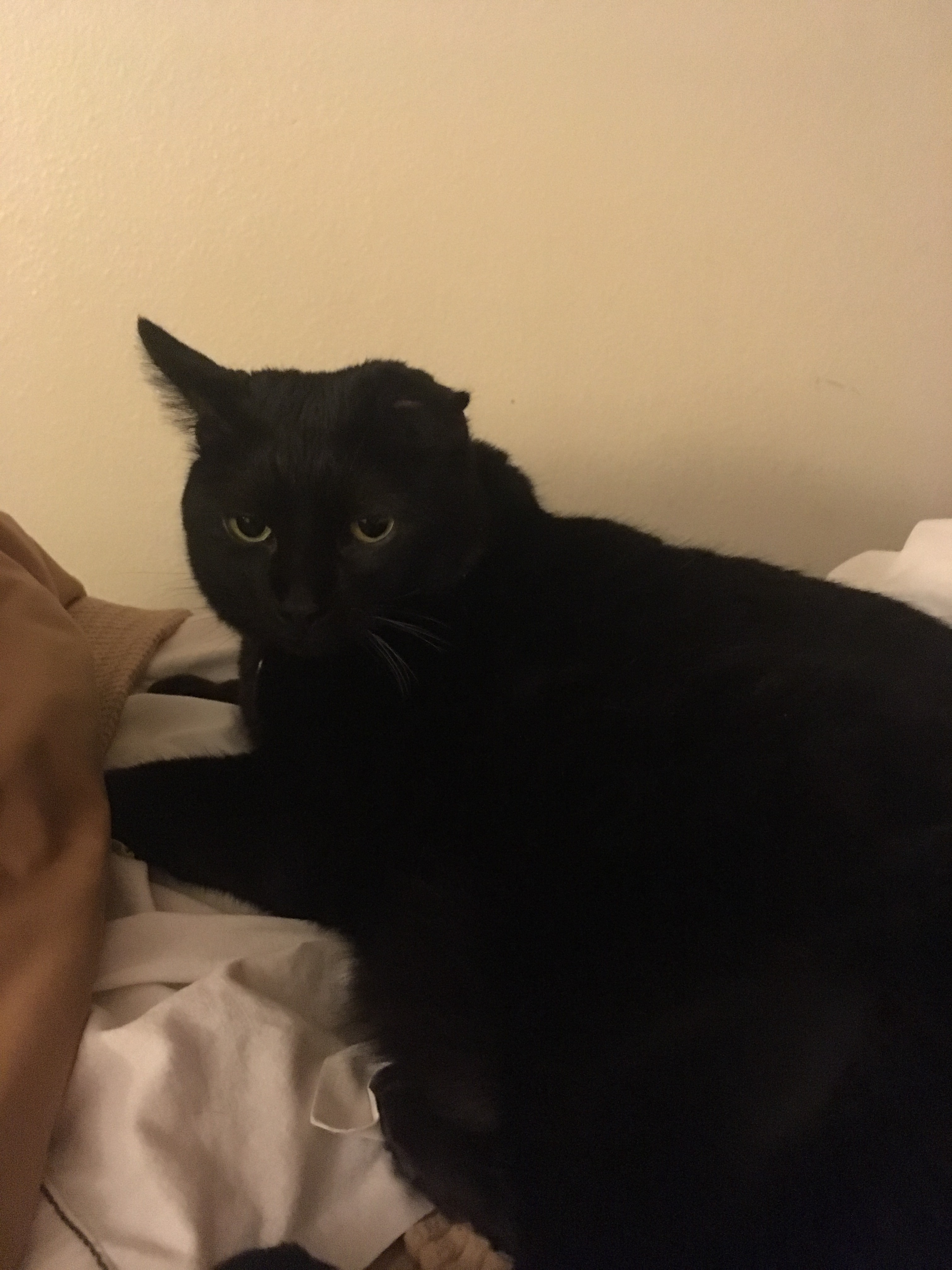 moving blog pic 2.jpg